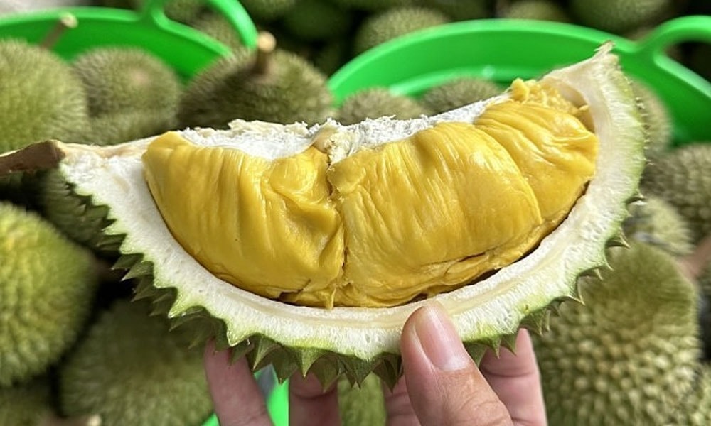 Durian rated among Southeast Asia's best fruits