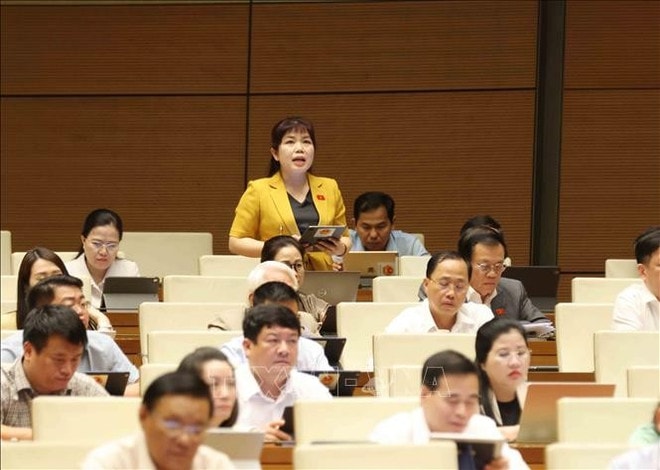 Quang Ninh’s deputy Nguyen Thi Thu Ha (standing) speaks at the discussion. (Photo: VNA) quang-ninh-140525.jpg