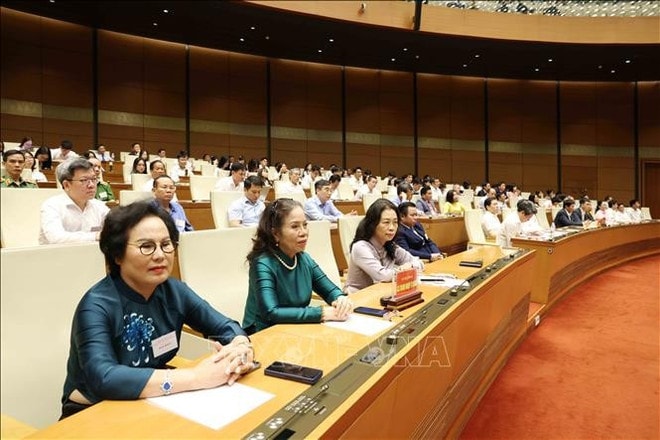 Delegates attend the national conference in Hanoi. (Photo: VNA) to-lam-3.jpg