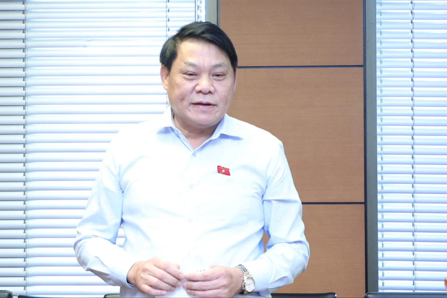 ĐBQH Nguyễn Thành Nam (Phú Thọ) phát biểu. Ảnh: Khánh Duy