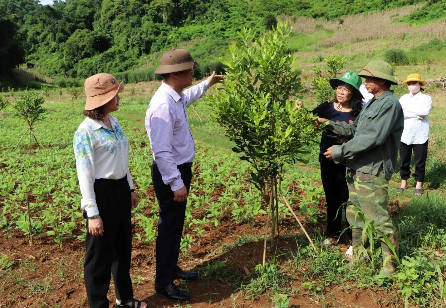 Điện Biên giảm nghèo_Mắc ca 4