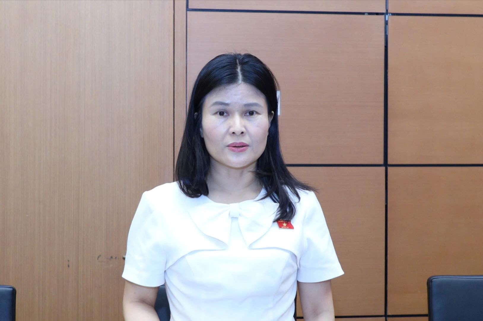 ĐBQH Bùi Thị Quỳnh Thơ (Hà Tĩnh) phát biểu tại phiên thảo luận Tổ