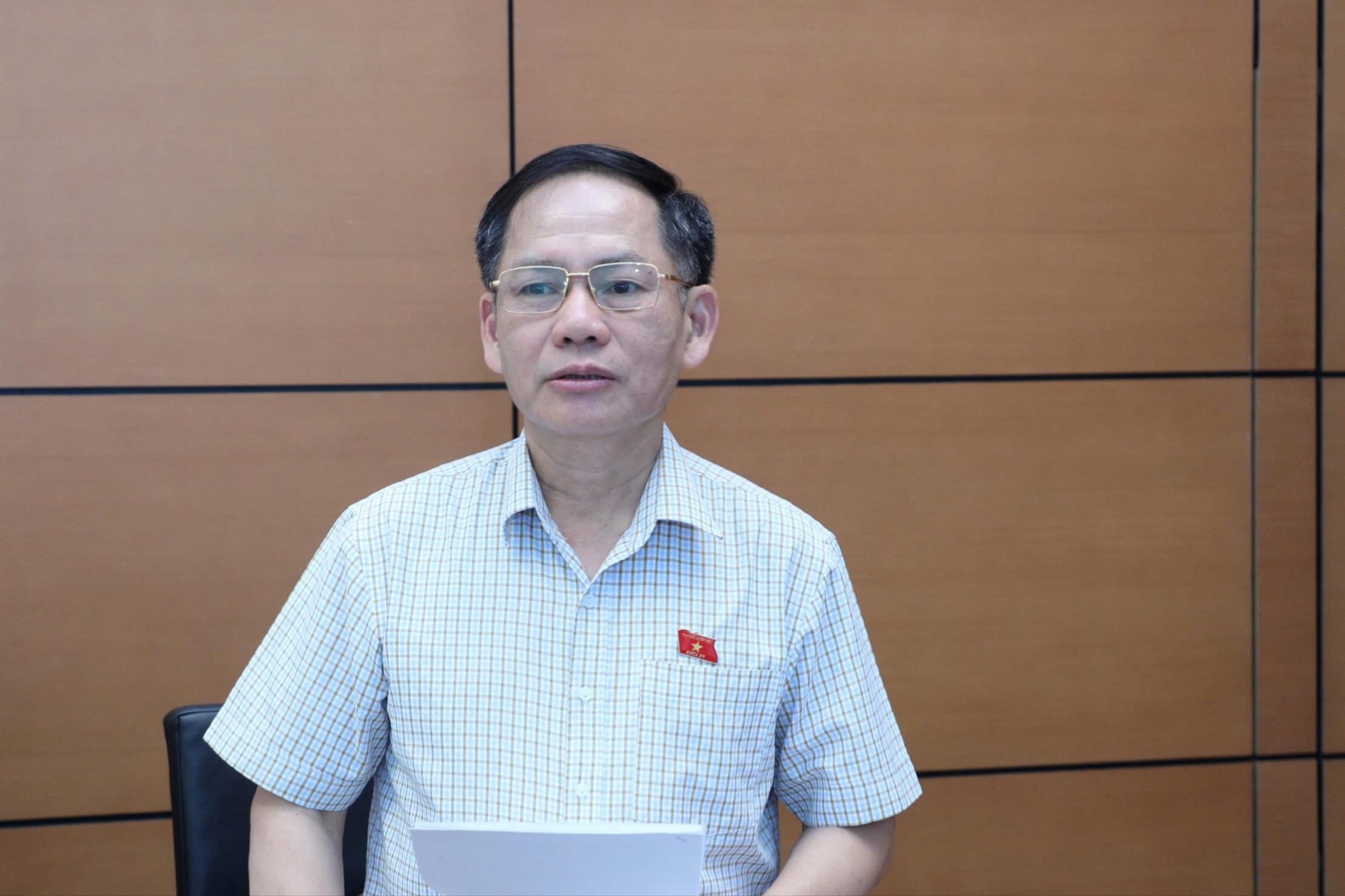 ĐBQH Trần Đình Gia (Hà Tĩnh) phát biểu. Ảnh: Khánh Duy