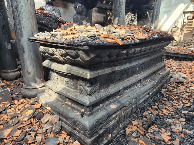 bao-vat-be-da-hoa-sen.jpg