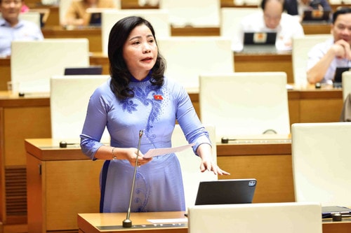 Nguyen Thi Thu Nguyet, a deputy from the Central Highlands province of Dak Lak. (Photo: VNA) vna-potal-quoc-hoi-thao-luan-ve-du-an-luat-sua-doi-bo-sung-mot-so-dieu-cua-bo-luat-hinh-su-8056692.jpg