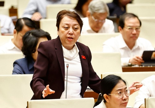 Deputy Pham Khanh Phong Lan from Ho Chi Minh City. (Photo: VNA) vna-potal-quoc-hoi-thao-luan-ve-du-an-luat-sua-doi-bo-sung-mot-so-dieu-cua-bo-luat-hinh-su-8056559.jpg
