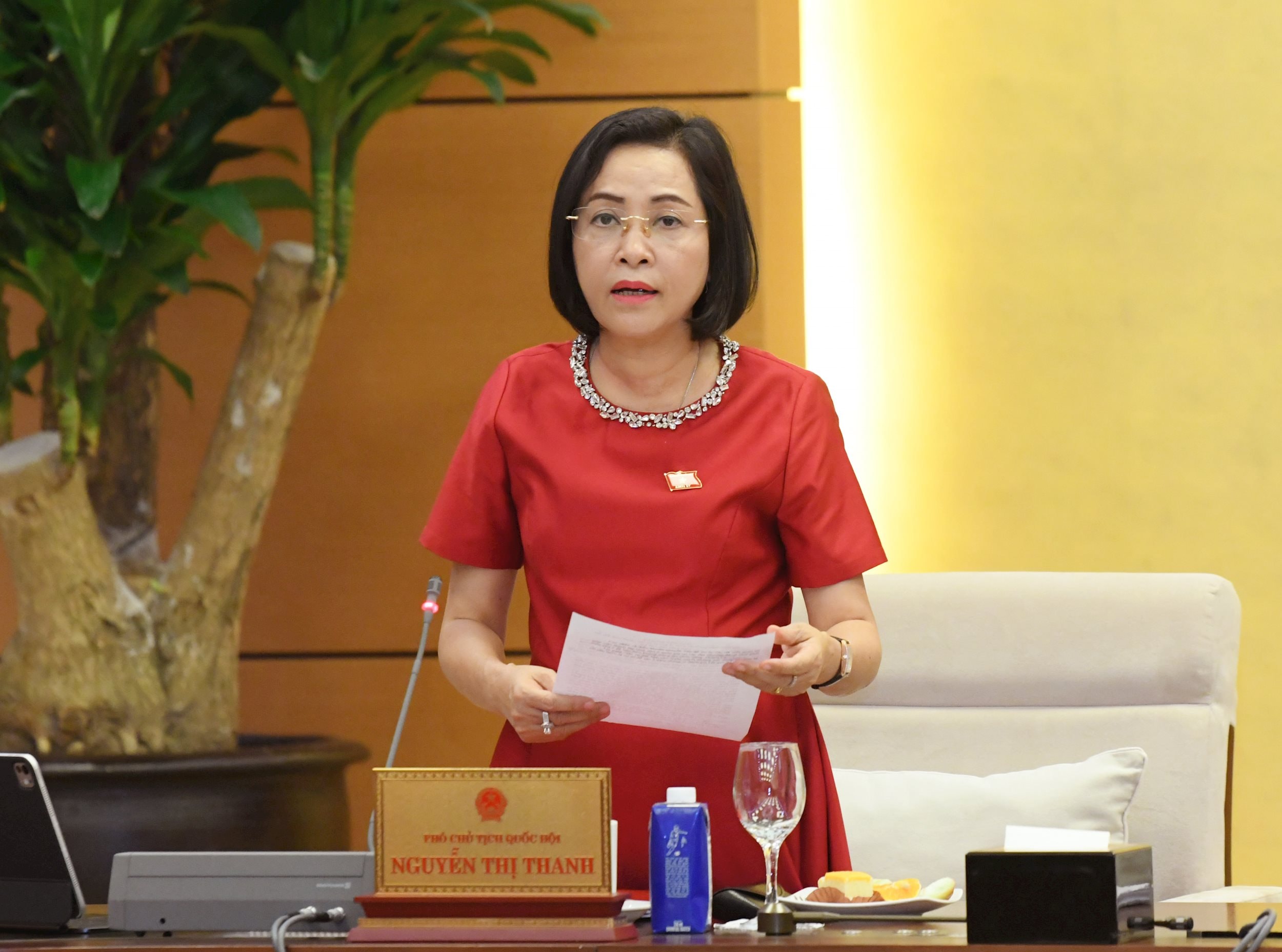 Phó chủ tịch QH Nguyễn Thị Thanh.2 (3)