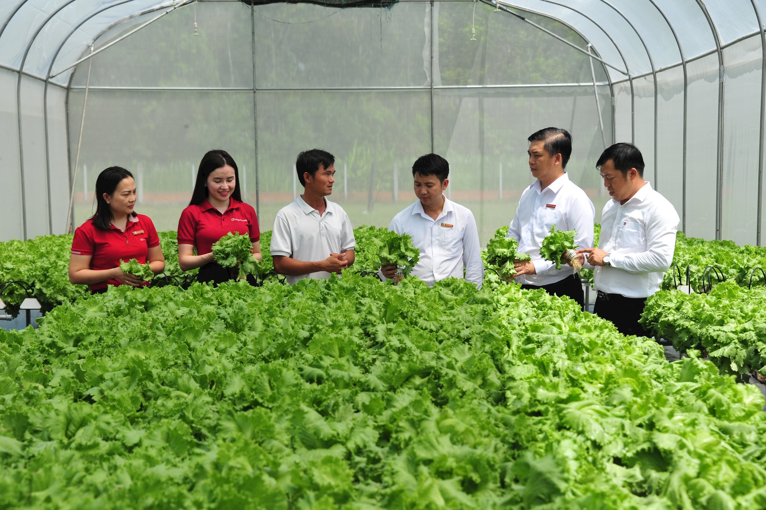 Bảo hiểm Agribank vừa bảo vệ người nông dân, vừa bảo vệ nguồn vốn của Nhà nước