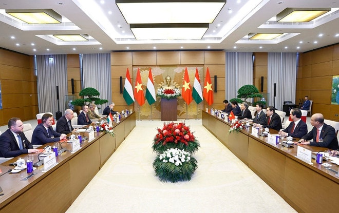 A view of the meeting (Photo: VNA) 2-tran-thanh-man-hungary-vna.jpg
