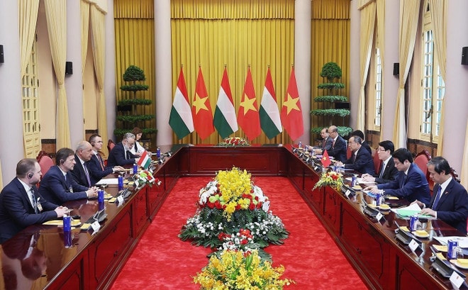 The talks between Vietnamese President Luong Cuong and Hungarian President Sulyok Tamas in Hanoi on May 28 (Photo: VNA) luong-cuong-2.jpg