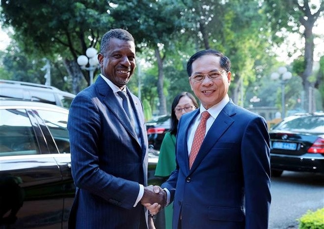 Deputy Prime Minister and Foreign Minister Bui Thanh Son (R) welcomes Vince Henderson, Minister for Foreign Affairs, International Business, Trade and Energy of the Commonwealth of Dominica in Hanoi on May 28. (Photo: VNA) vna-potal-pho-thu-tuong-bo-truong-bo-ngoai-giao-bui-thanh-son-hoi-dam-voi-bo-truong-ngoai-giao-dominica-8060545.jpg
