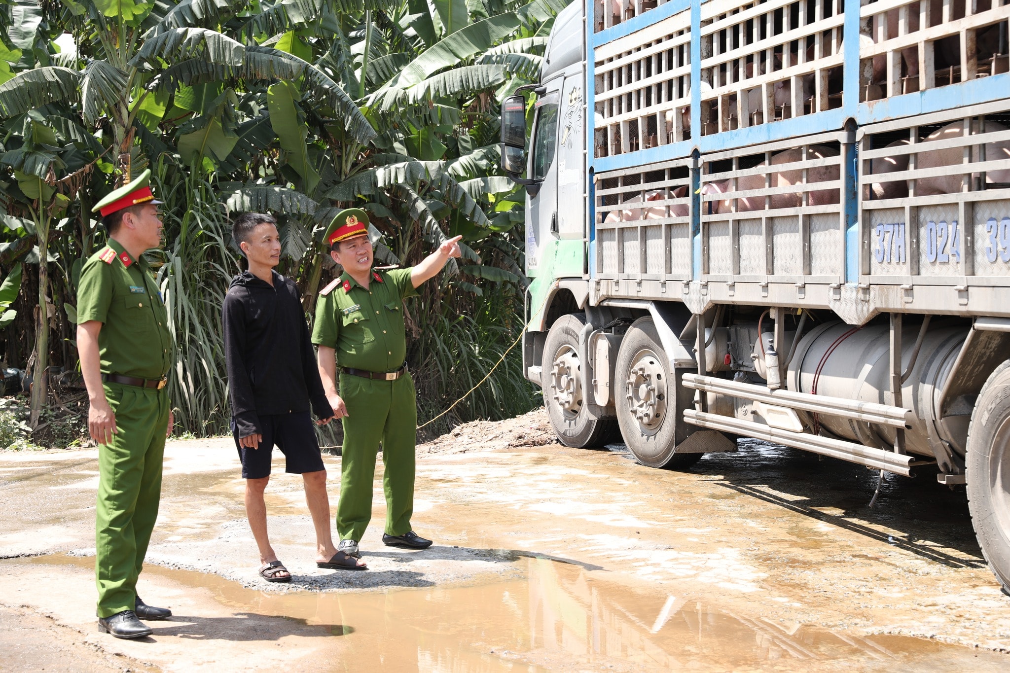 18 tấn lợn nhiễm bệnh đang trên đường đưa đi tiêu thụ thì lực lượng Công an tỉnh Hà Tĩnh phát hiện, bắt giữ
