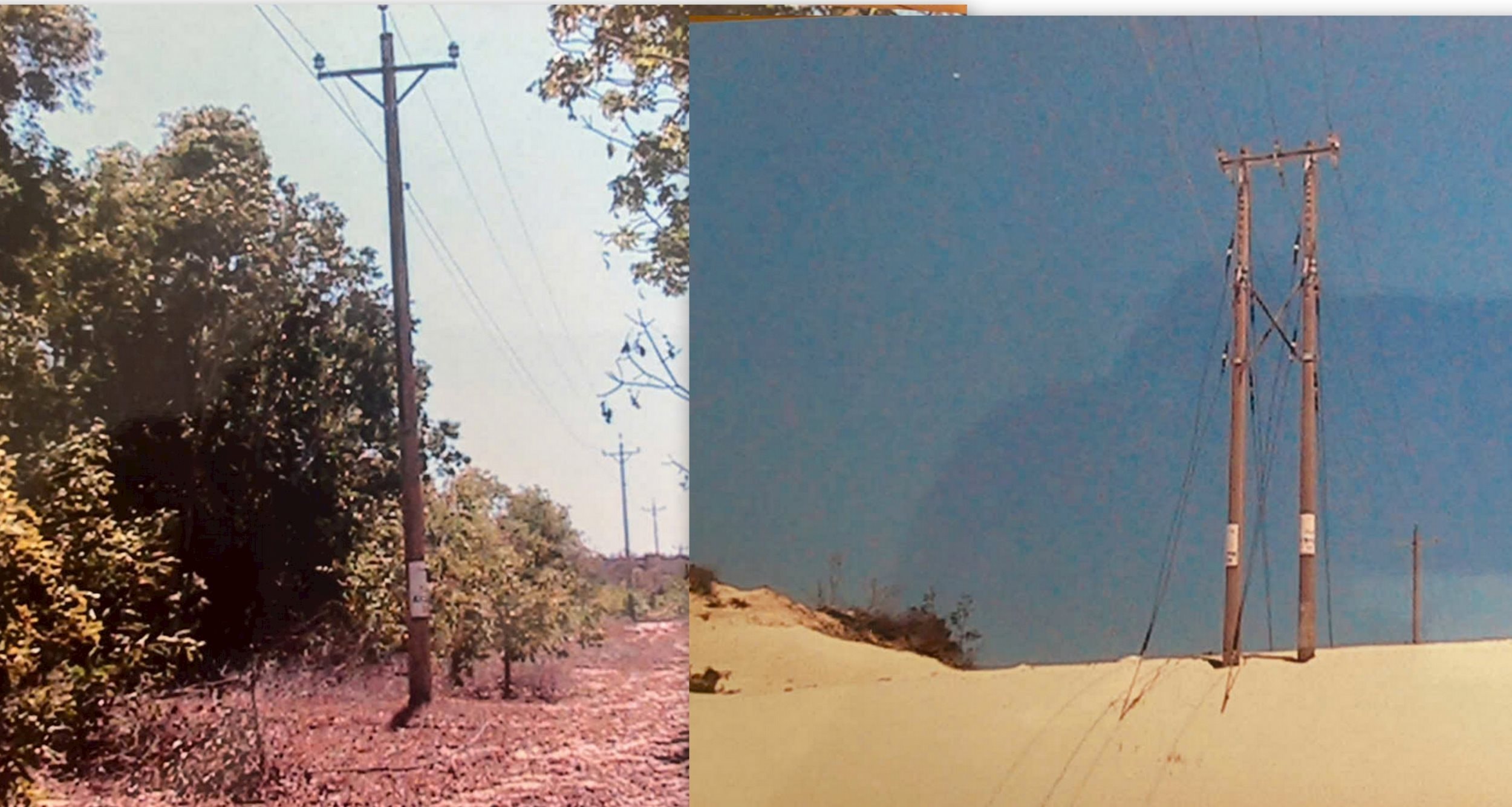 collages3.jpg