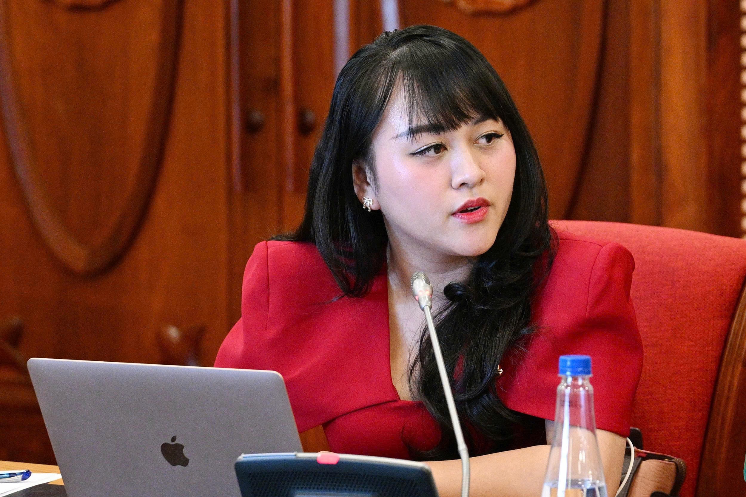Đại diện đơn vị tư vấn về chính sách công (Asia Group Advisors) tham gia ý kiến