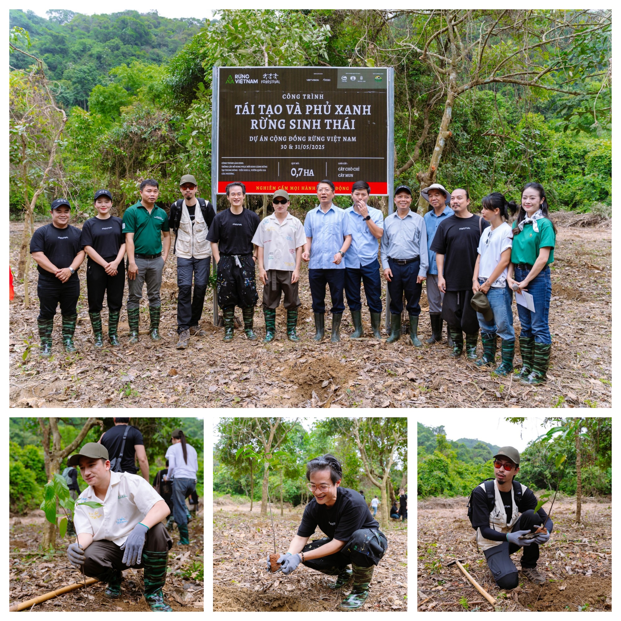 Trồng rừng Forestival 2025