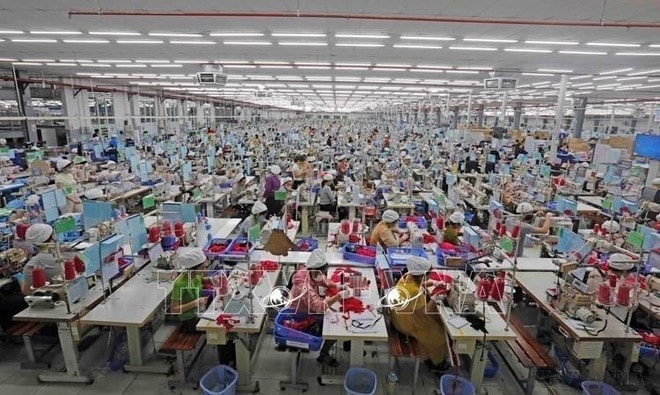SCAVI Hue Company, 100% invested by Financière B’Lao Group (France), specialises in manufacturing underwear, sportswear, protective clothing in Hue city. (Photo: VNA) vietnam-france-3.jpg