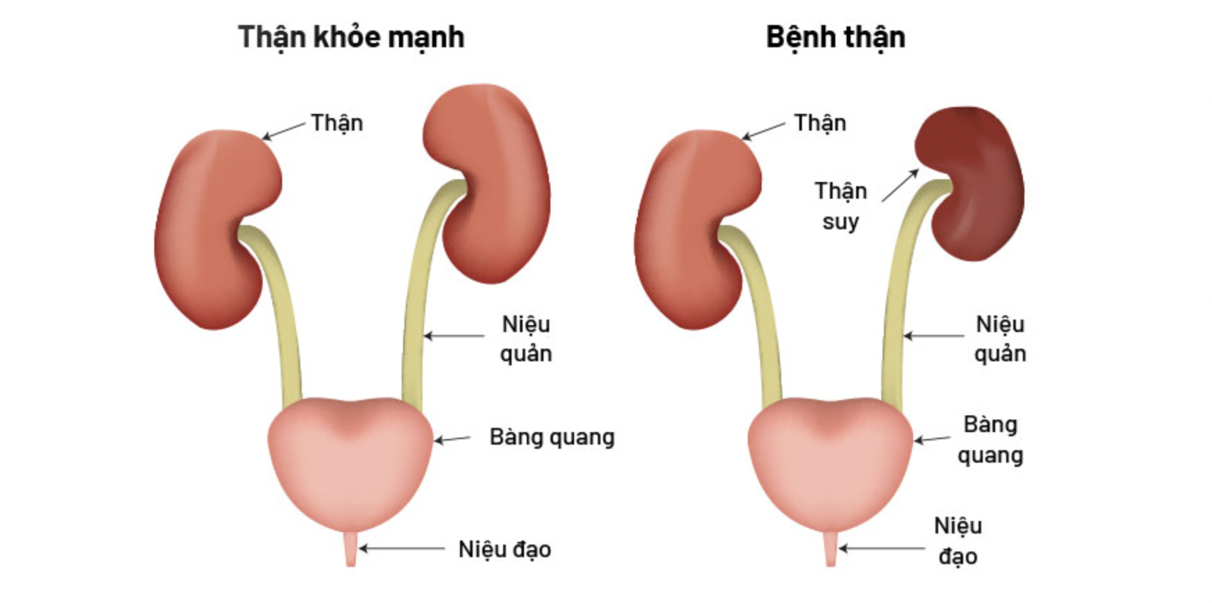 Ảnh chụp Màn hình 2025-06-09 lúc 15.05.18