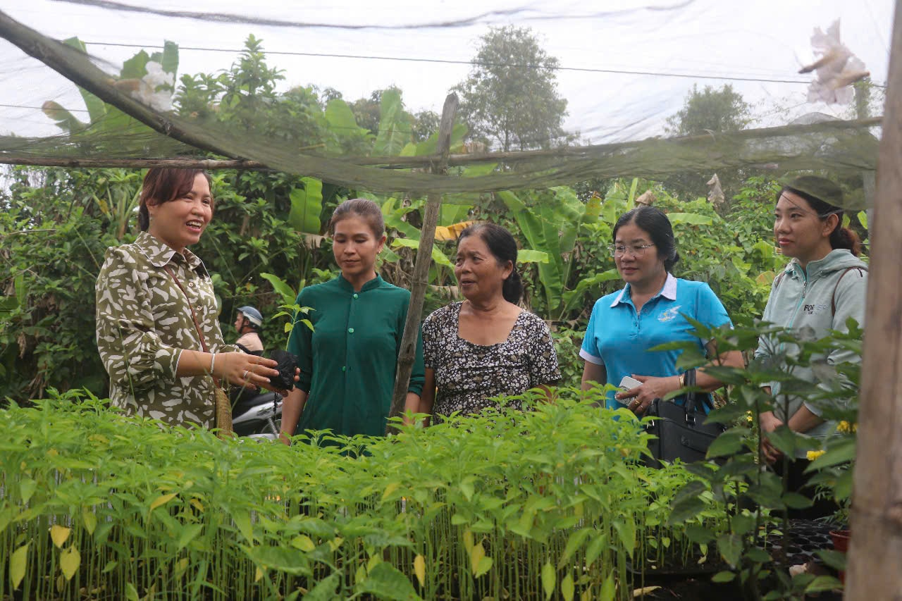 Lãnh đạo Hội LHPN thành phố kiểm tra mô hình bán cây giống của hội viên phụ nữ vay vốn tại huyện Thới Lai. Ảnh B. Trâm
