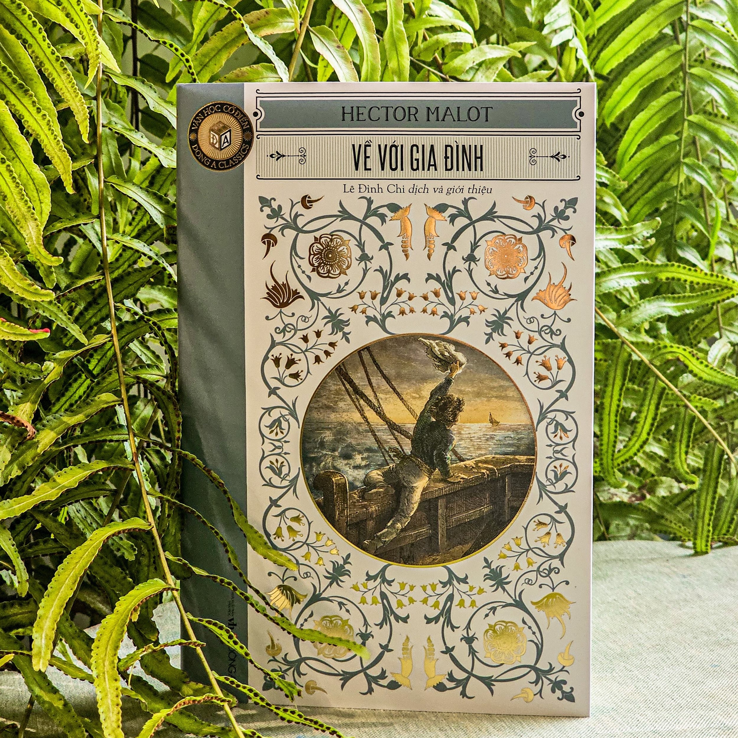 Phiên bản bìa mềm