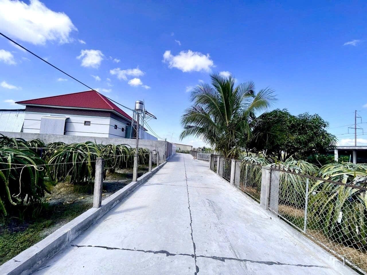 Hàm Minh. Ảnh Trung Lương