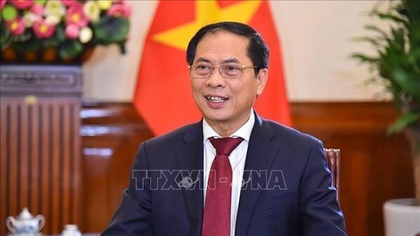 Deputy Prime Minister and Minister of Foreign Affairs Bui Thanh Son (Photo: VNA) he.jpg