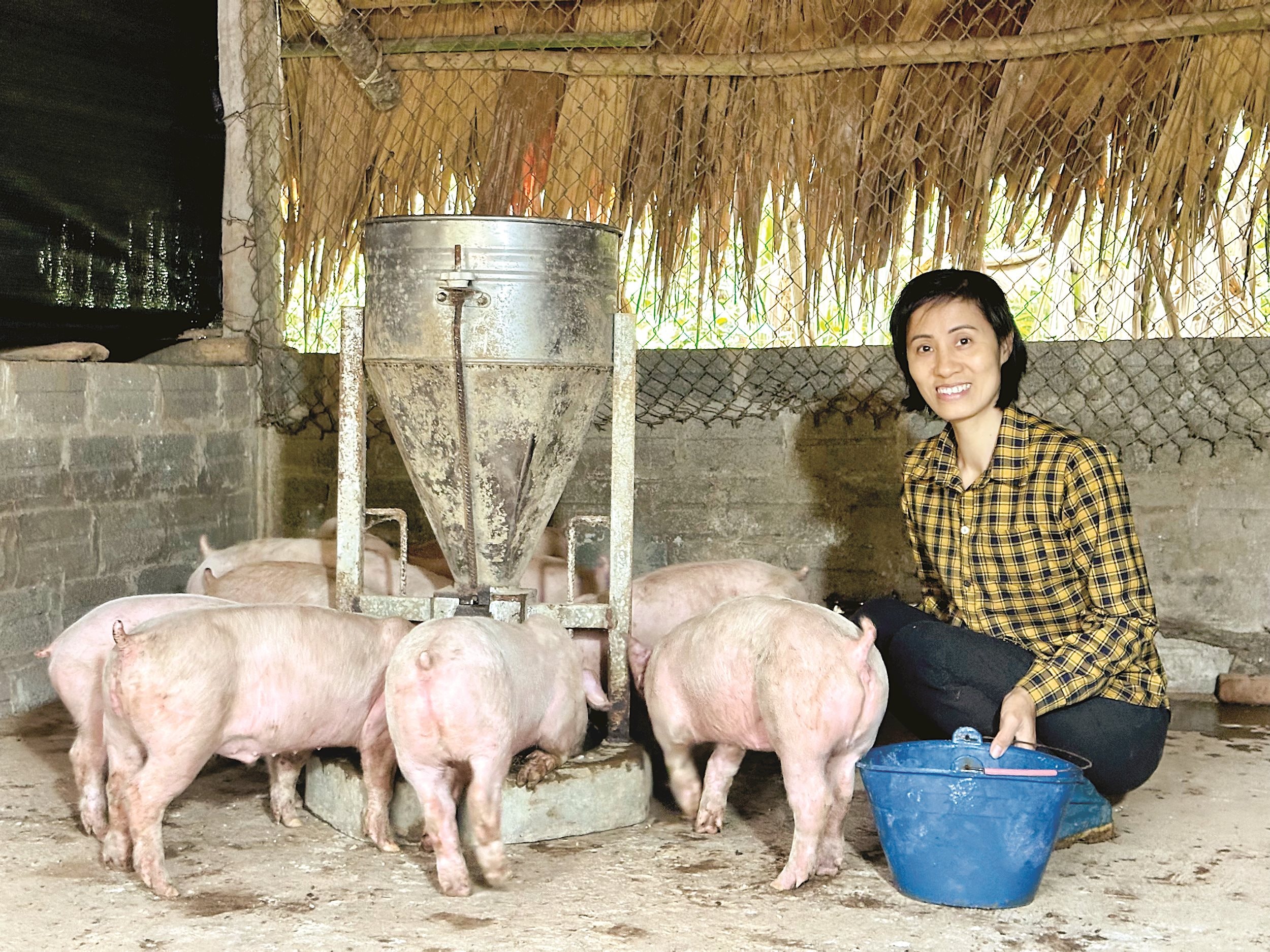 Chị Tư-Thái Nguyên copy