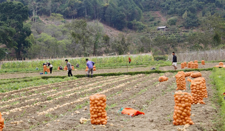 Nhờ phát huy hiệu quả các Chương trình, chính sách hỗ trợ của Đảng, Nhà nước đã giúp đời sống người dân vùng cao Bắc Kạn ngày càng nâng lên. Ảnh: Duy Khánh