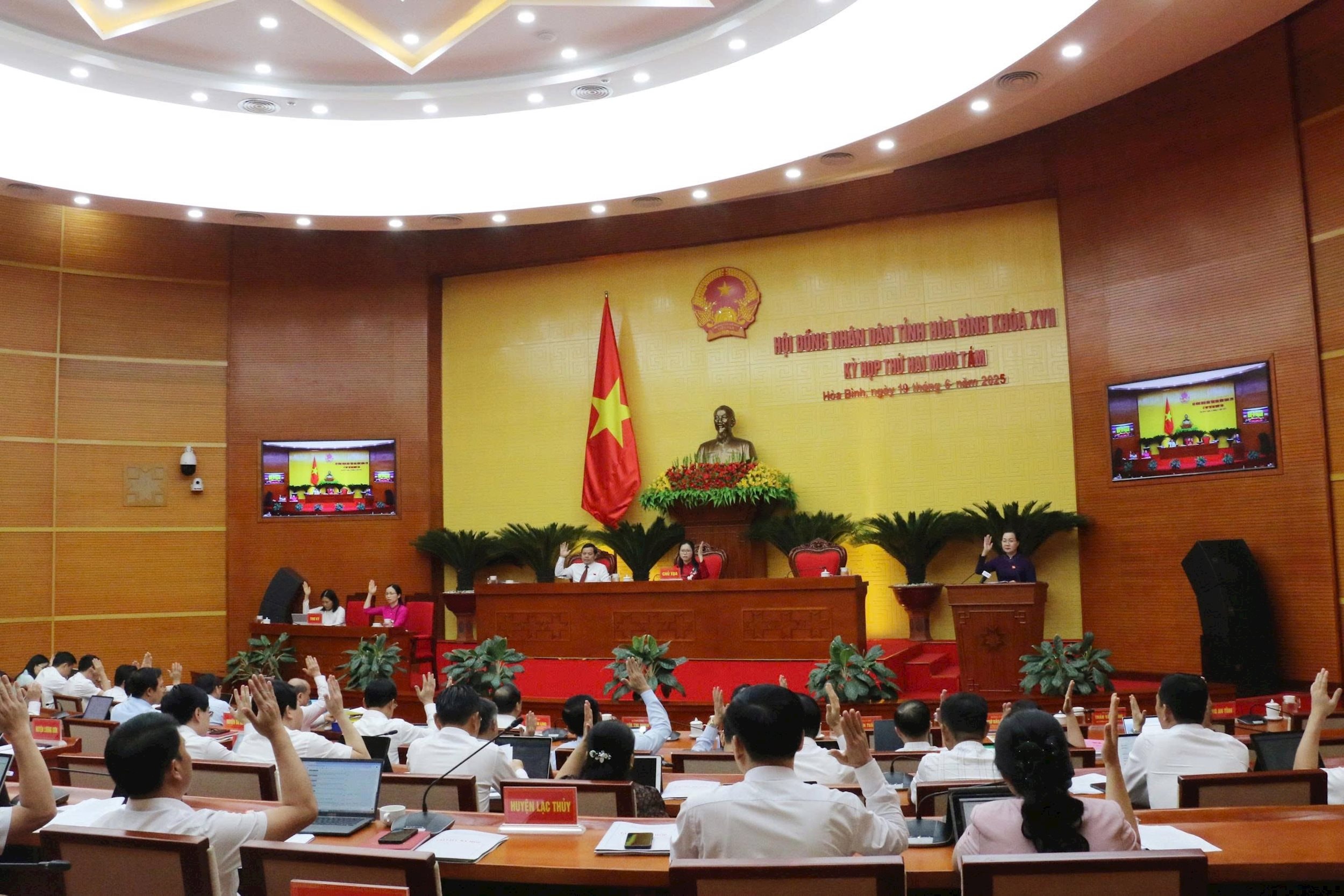 Các đại biểu biểu quyết thông qua nghị quyết. Ảnh: Trọng Hiếu