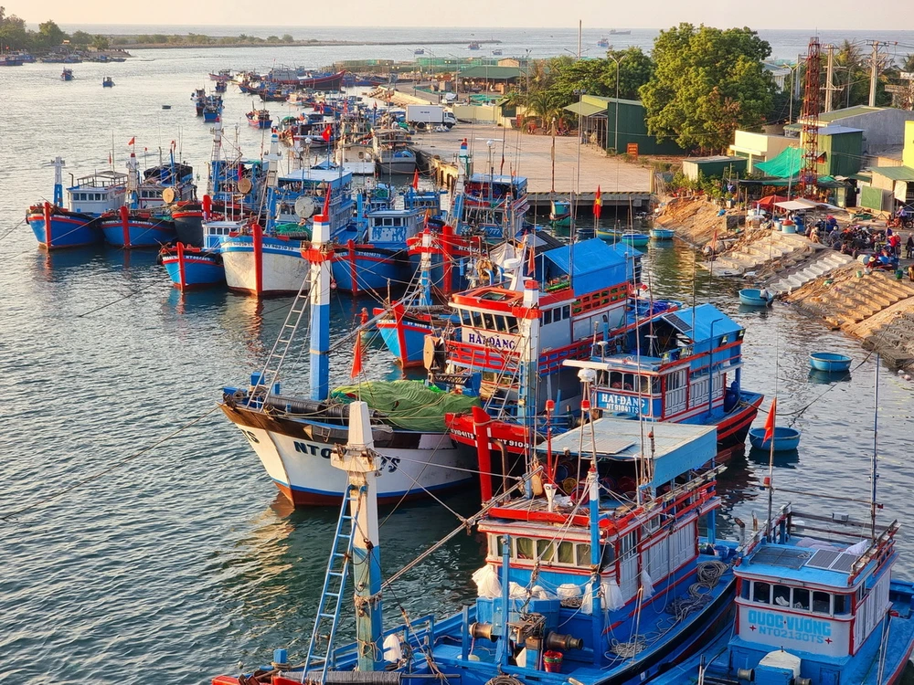 thẻ vàng IUU