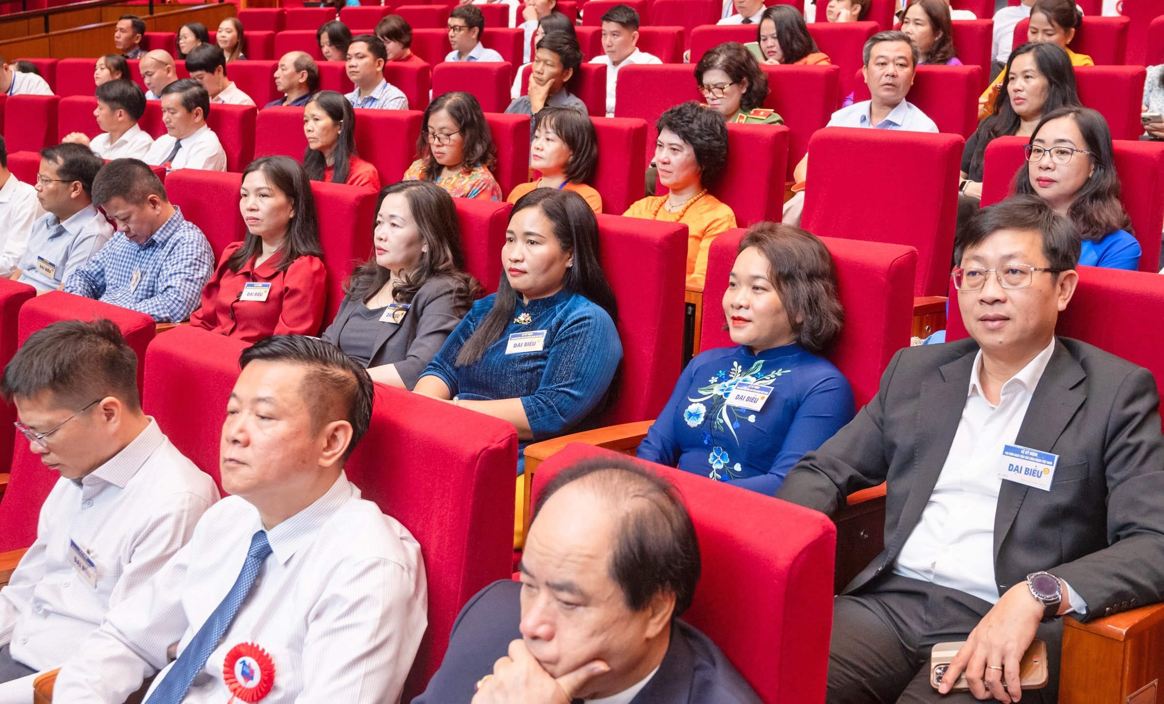 hoi-bao17.jpg