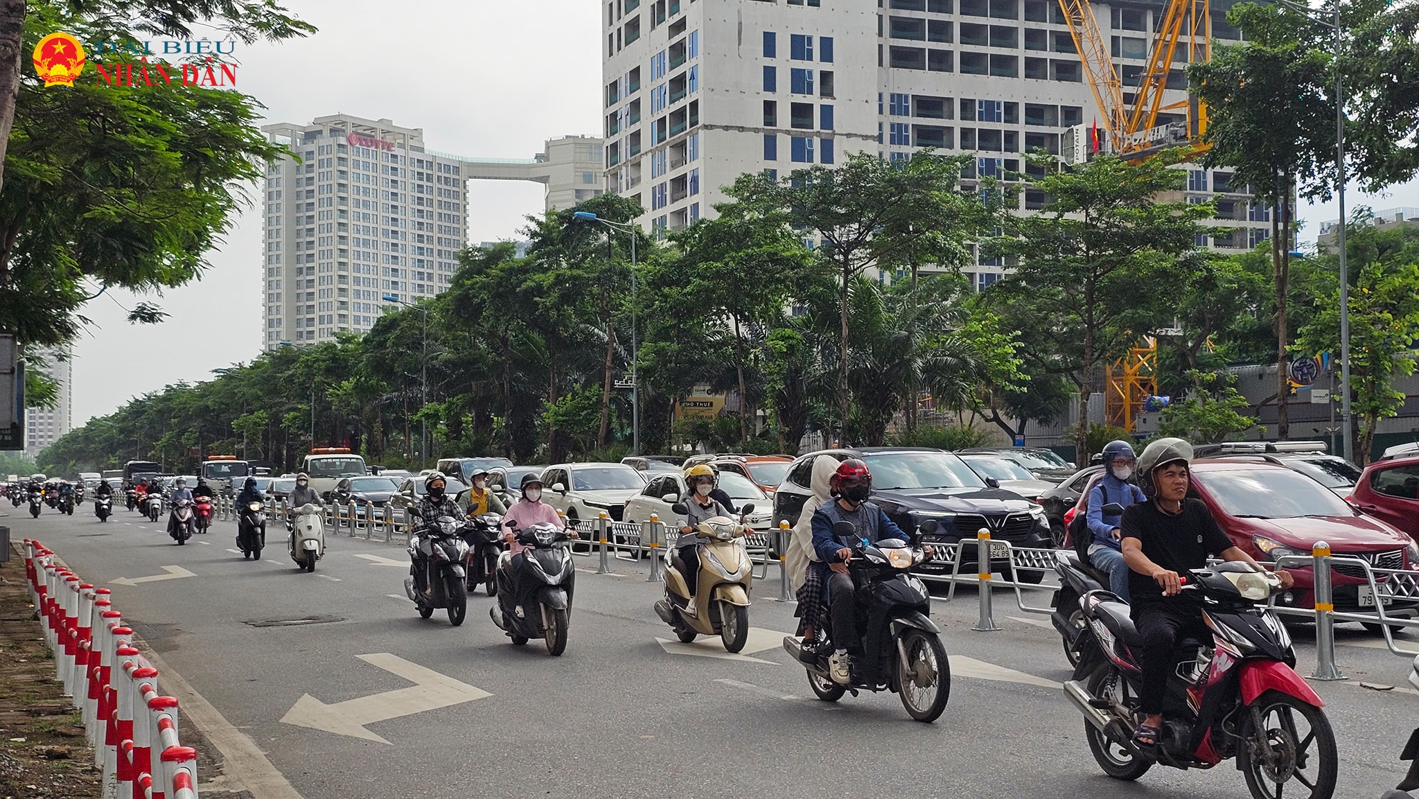 dai phan cach vo chi cong (3)