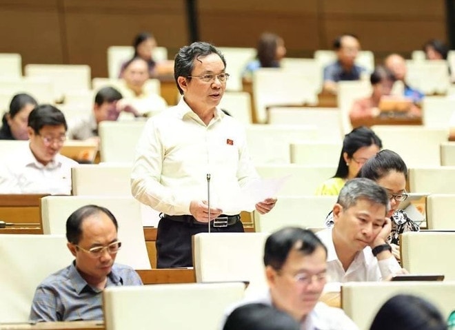 A deputy speaks at a plenary sitting of the 15th NA's 9th session. (Photo: VNA) 15th-nas-9th-session-2.jpg