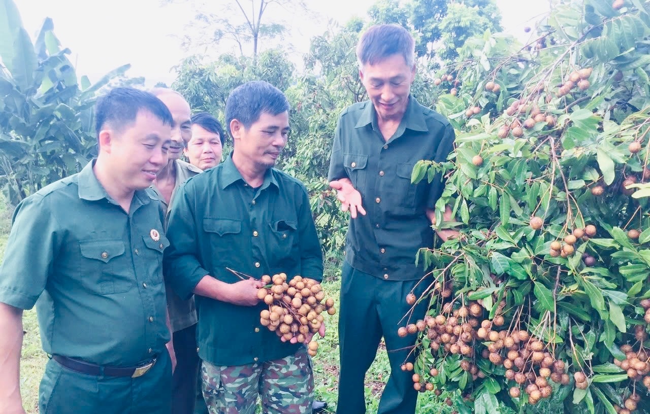 Các hội viên CCB tại xã Vinh Quang (Chiêm Hóa) chia sẻ mô hình phát triển kinh tế mang lại hiệu quả, thu nhập cao cho gia đình