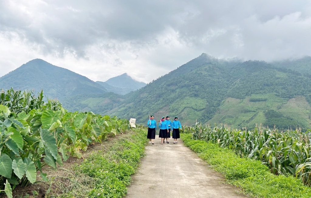 Huyện Bình Liêu đẩy mạnh hoàn thiện, phát triển hạ tầng giúp đồng bào DTTS phát triển kinh tế, nâng cao thu nhập. Ảnh Trúc Linh