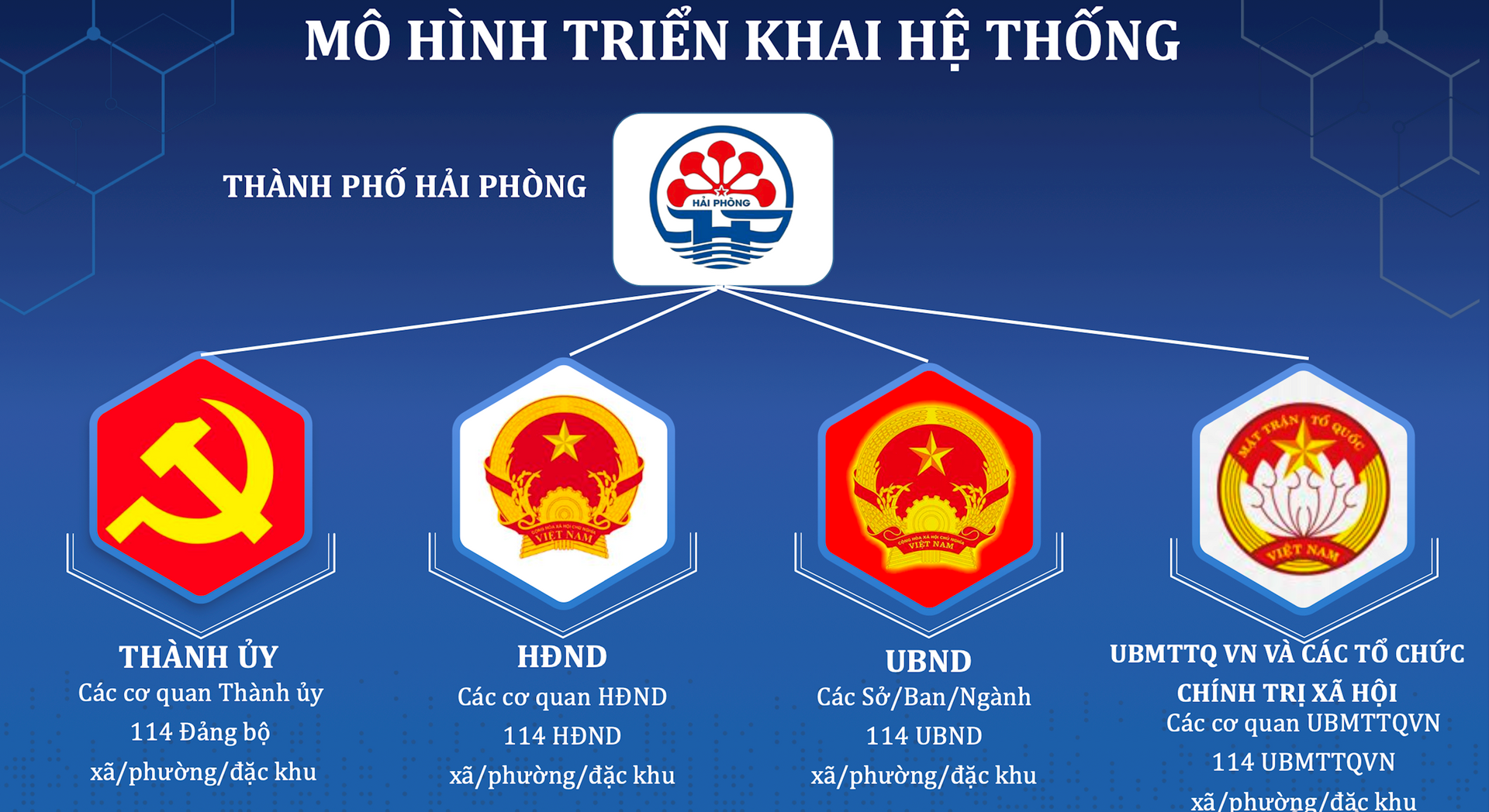tap-huan-4-he-thong-dung-chung-4.png