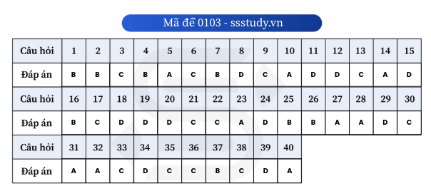 Ảnh màn hình 2025-06-27 lúc 10.26.00