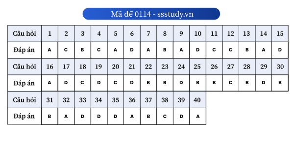Ảnh màn hình 2025-06-27 lúc 10.26.16