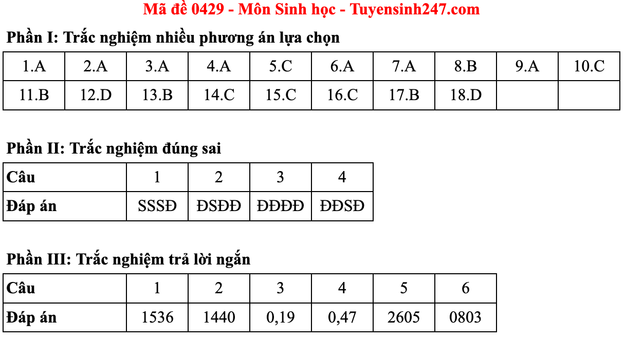 Ảnh màn hình 2025-06-27 lúc 10.57.32