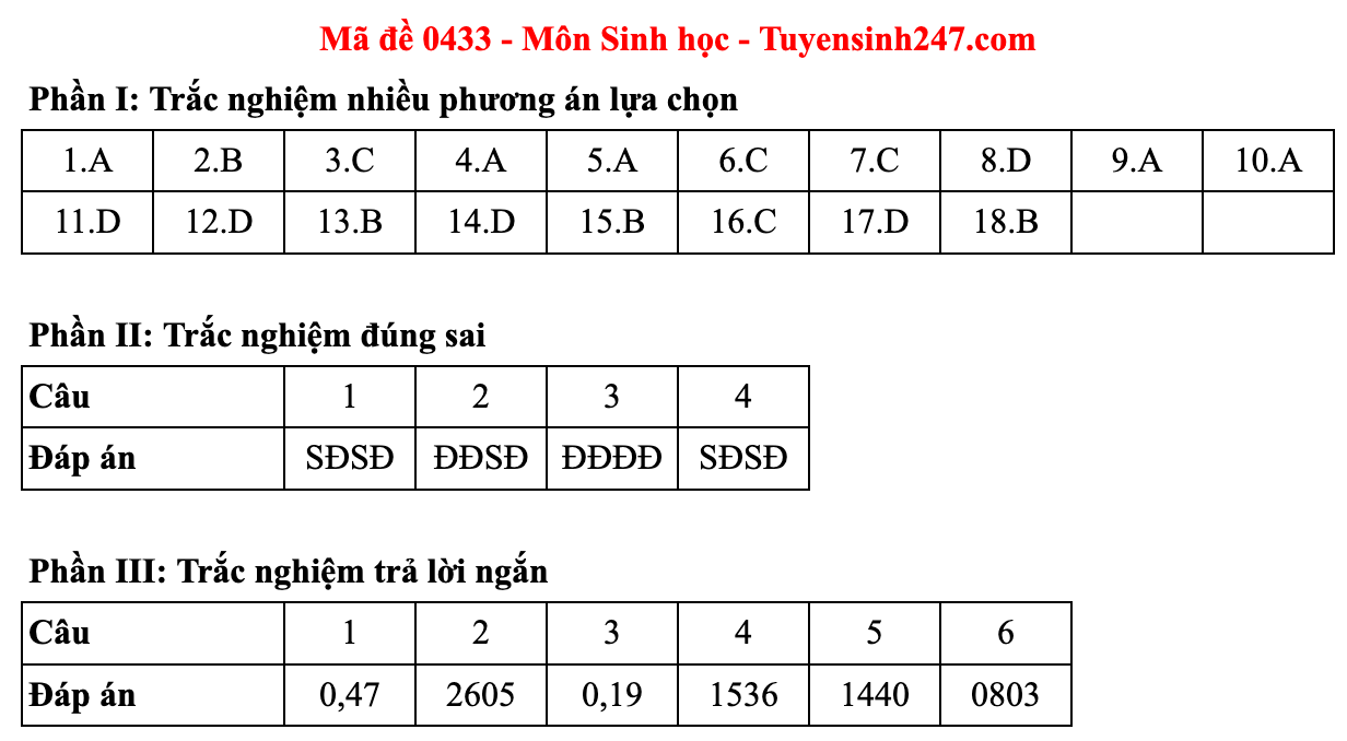 Ảnh màn hình 2025-06-27 lúc 10.57.45