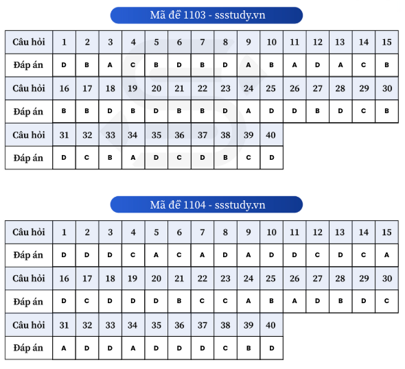 Ảnh màn hình 2025-06-27 lúc 11.45.56