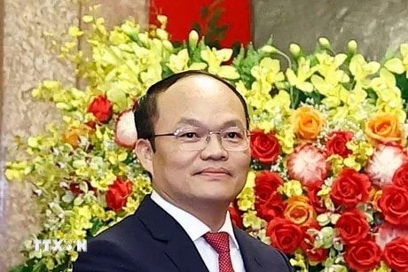 Vietnamese Ambassador to Spain Doan Thanh Song (Photo: VNA) am.jpg
