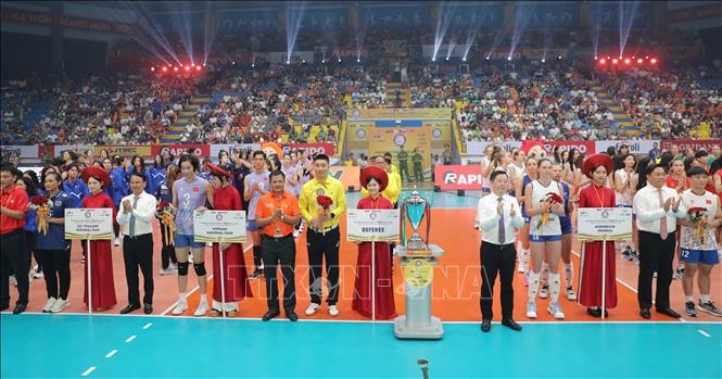 VTV Cup 251