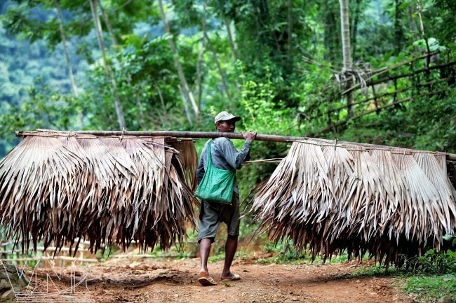 To protect biodiversity, local people only collect dried products from the forest to serve their lives. (Photo: VNA) pl3-090625.jpg