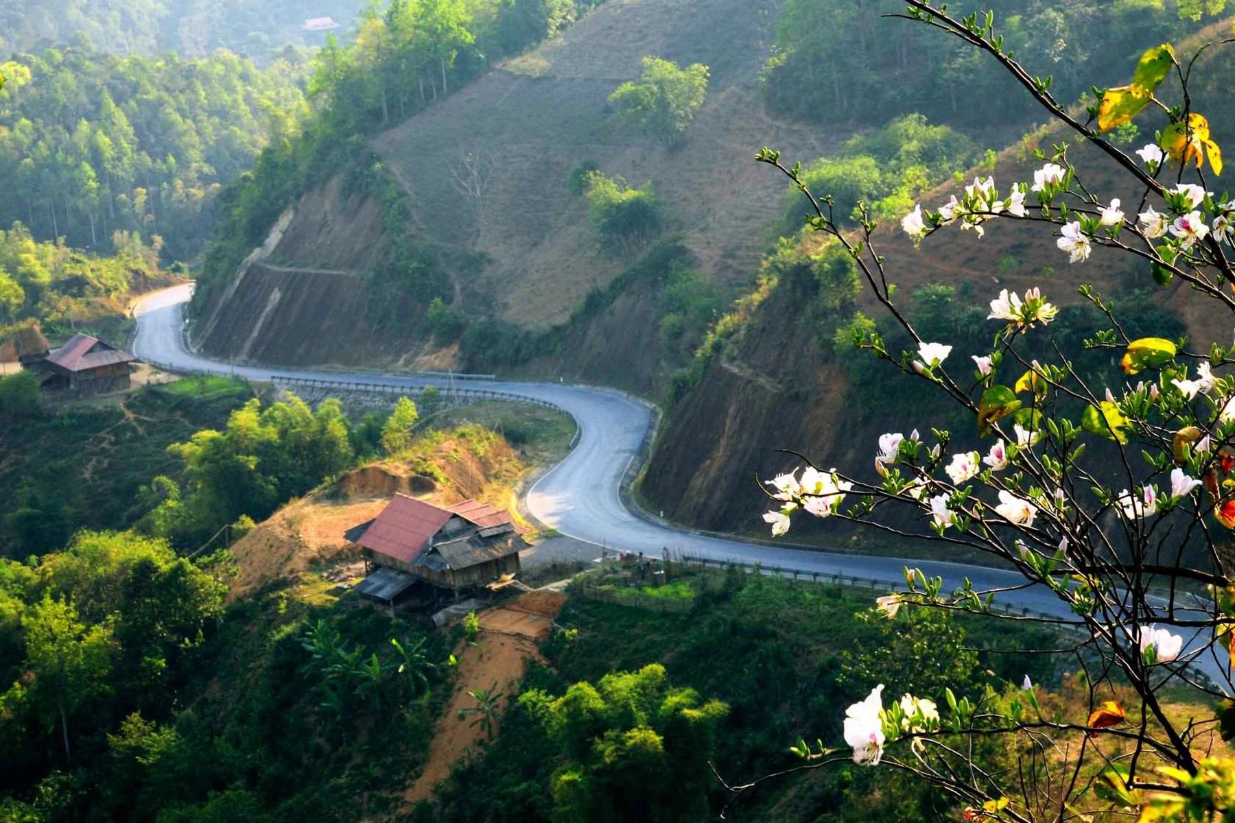 Tỉnh Điện Biên