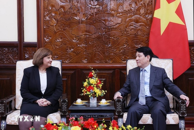 ttxvn-chu-tich-nuoc-tiep-dai-su-ai-cap-chao-tu-biet-2.jpg