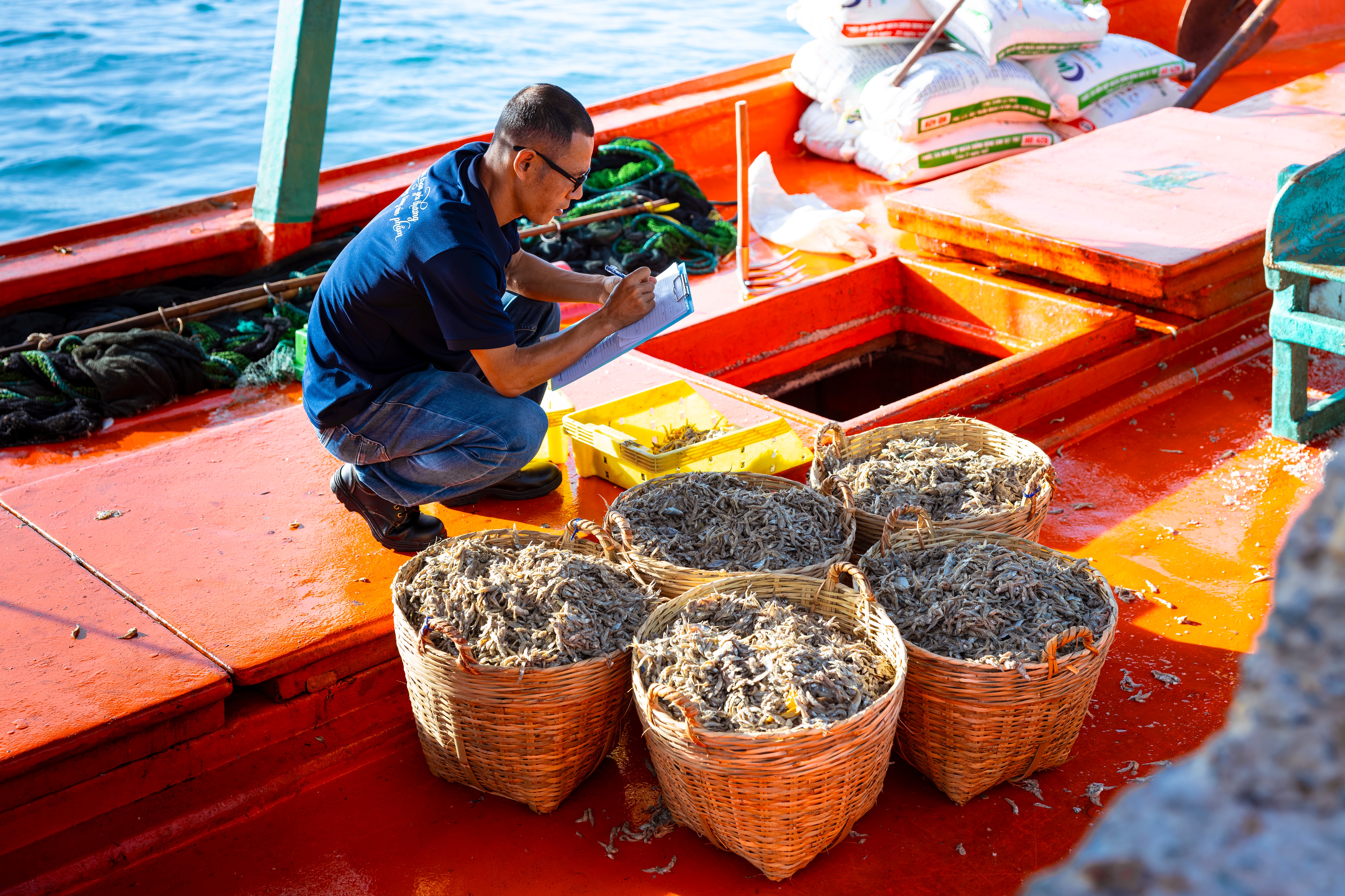 Chuyên viên Kỹ thuật của Masan PQ kiểm tra chất lượng cá trước khi chuyển về nhà ủ chượp