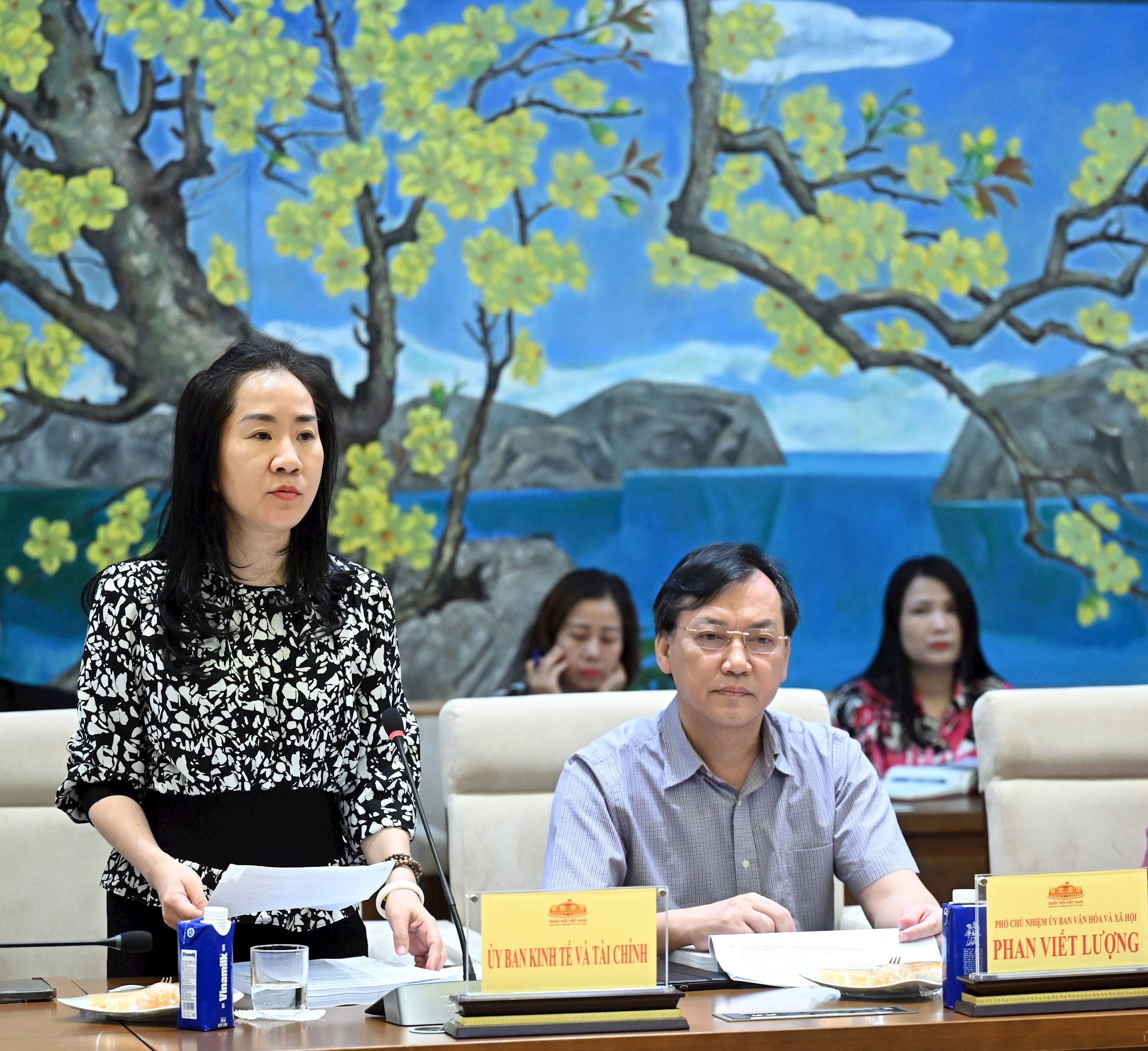 Phó Chủ nhiệm Ủy ban Kinh tế và Tài chính Đoàn Thị Thanh Mai phát biểu