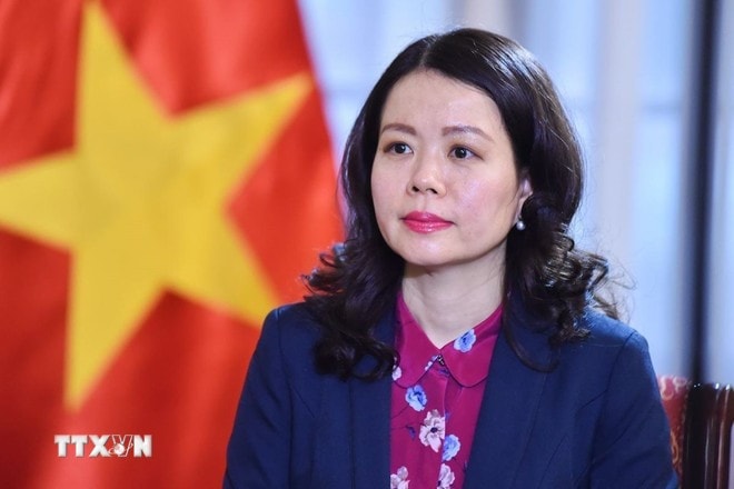 Deputy Minister of Foreign Affairs Nguyen Minh Hang (Photo: VNA) minh-hang.jpg