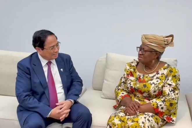 PM Pham Minh Chinh meets with WTO Director-General Ngozi Okonjo-Iweala in Rio de Janeiro on July 6. (Photo: Government Portal) pm-pham-minh-chinh-and-wto-director-general.jpg
