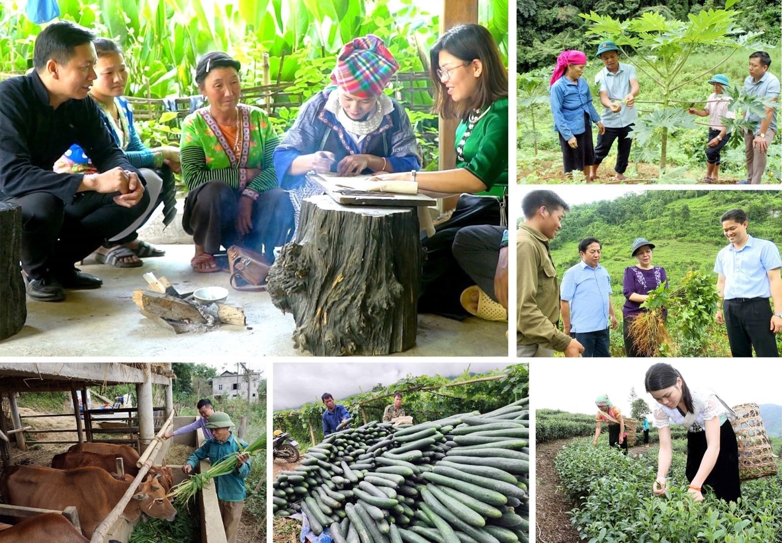 Việc thực hiện Chương trình mục tiêu quốc gia giảm nghèo bền vững đã mang lại diện mạo mới cho vùng nông thôn, nhất là vùng sâu, vùng xa, vùng đặc biệt khó khăn.